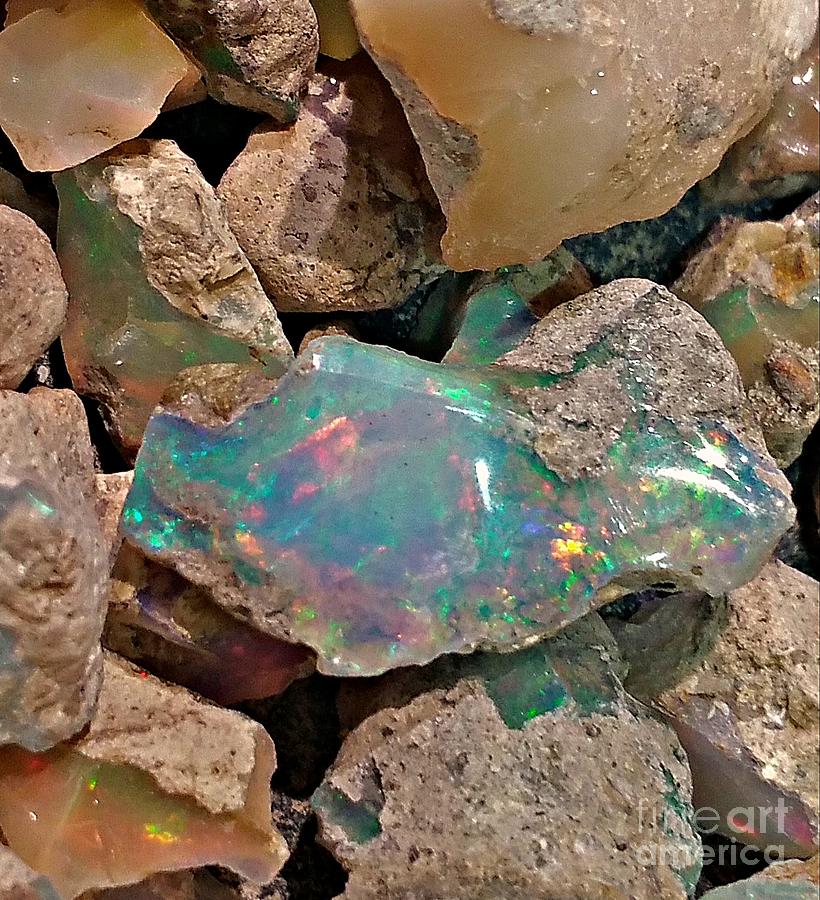 image of rough opals